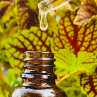 drop of vitamin c serum with leaf in the background